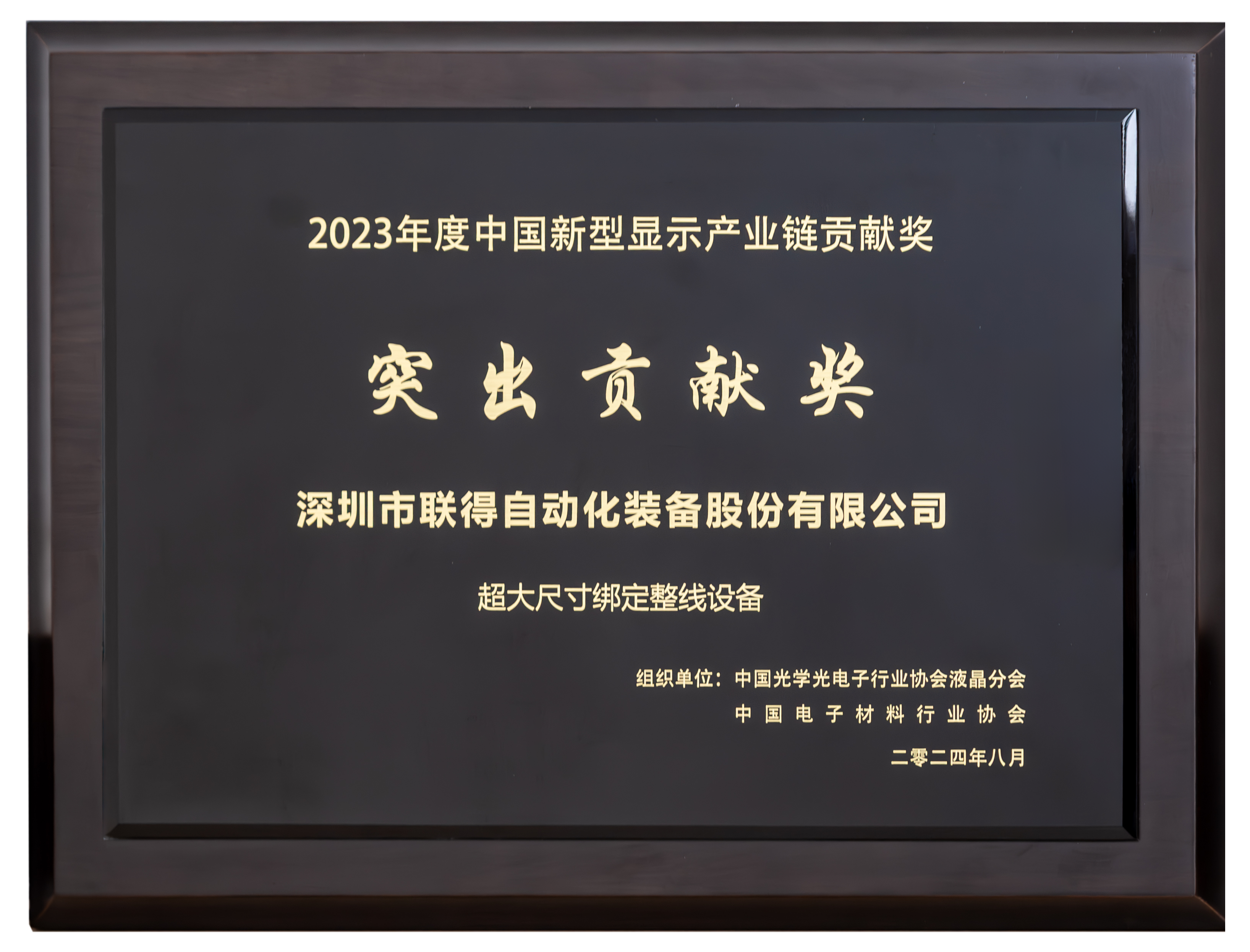 1726114203676148.png 中國新型顯示產業鏈貢獻獎-突出貢獻獎.png